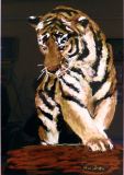 06 - Wendy Britton - Tiger Tiger - Pastel.jpg